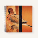 Search for preening Bird