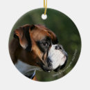Search for white boxer christmas tree decorations Bob and pam langrish