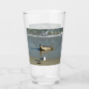 Search for seagull drinkware Wildlife