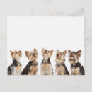 Search for identity postcards Horizontal