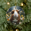 Search for pig christmas tree decorations Guinea