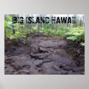 Search for flows posters Hawaii