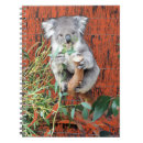 Search for koala notebooks Wildlife
