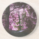 Search for path coasters Photography