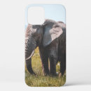 Search for elephant love electronics Nature