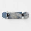 Search for orbit skateboards Satellite