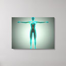 Search for female anatomy canvas prints Medical