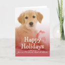 Search for golden retriever cards Canine