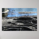 Search for tree roots posters Photography