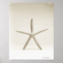Search for star fish posters Animal