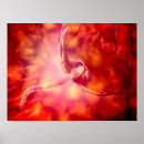 Search for human egg posters Magnification