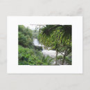 Search for eden postcards Maui