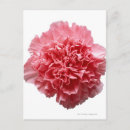 Search for cut up postcards Square