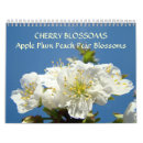 Search for cherry blossom calendars Blossoms