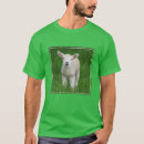 Search for lamb tshirts Livestock