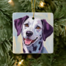 Search for dalmatian christmas tree decorations Spots