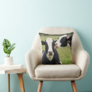 Search for holstein cow cushions Cattle