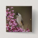 Search for side view badges Bird