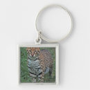 Search for endangered species accessories Jungle