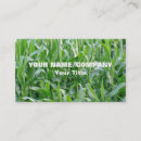 Search for agriculture business cards Rural