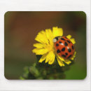 Search for ladybug mousepads Colourful