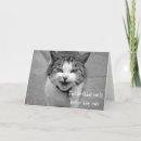 Search for angry cat Humour
