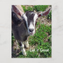 Search for doe postcards Cute