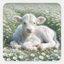 Search for livestock stickers White