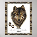 Search for little wolf posters Animal