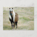 Search for having fun postcards Farm