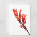 Search for flame red invitations Orange