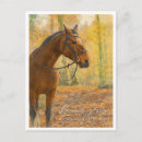 Search for lexington kentucky postcards Bluegrass