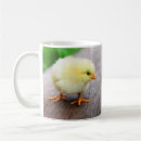 Search for chicked mugs Cute
