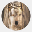 Search for spirit wolf stickers Totem