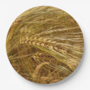 Search for harvest plates Wheat