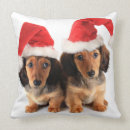 Search for dachshund christmas cushions Animal