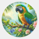 Search for macaw stickers Nature