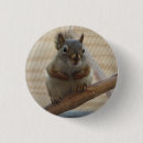 Search for cute squirrel badges Nature
