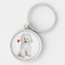 Search for car guys key rings Keys