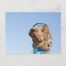 Search for listen postcards Outdoors