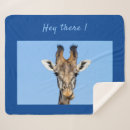 Search for giraffe face photography Funny