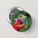 Search for frog badges Animals
