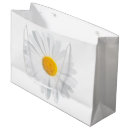 Search for daisy gift bags Nature