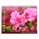 Search for azalea office supplies Nature