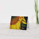 Search for petals cards Summer