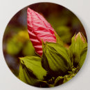 Search for spring photos badges Blossom