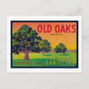 Search for oaks postcards Lantern