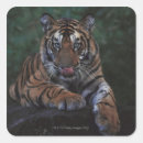 Search for reclining stickers Colour image