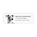 Search for greyhounds return address labels Italian greyhound