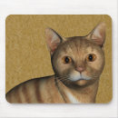 Search for orange cat electronics Sweet